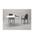 Fauteuil GINEVRA