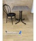 Chaise MOD113 Asisse Mousse Integrale
