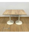 Table F DOUBLE INTERIEUR pied blanc